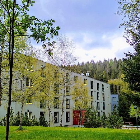 Plne Vybaveny Apartman Pod Mumlavskym Vodopadem, Zahrada S Ohnistem, Idealni Vychozi Bod Pro Turistiku, U Cesty Na Hrebeny, Kousek Do Centra, Absolutni Klid, Vybaveny I Pro Deti, Wellness A Fitko Naproti Harrachov Buitenkant foto