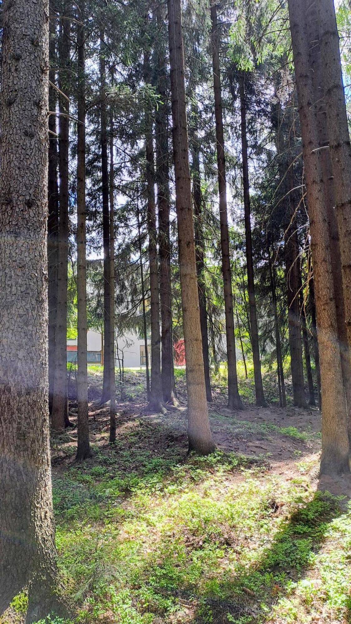 Plne Vybaveny Apartman Pod Mumlavskym Vodopadem, Zahrada S Ohnistem, Idealni Vychozi Bod Pro Turistiku, U Cesty Na Hrebeny, Kousek Do Centra, Absolutni Klid, Vybaveny I Pro Deti, Wellness A Fitko Naproti Harrachov Buitenkant foto